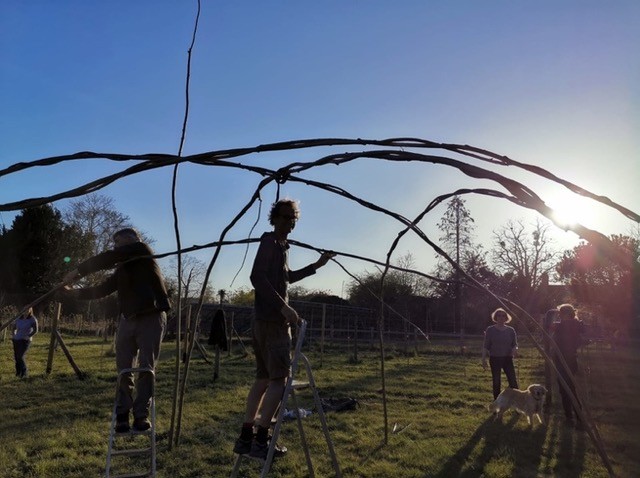 WIllow Dome