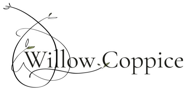 Willow_logo