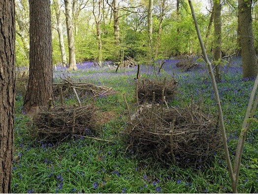 willow_wood_sculpture