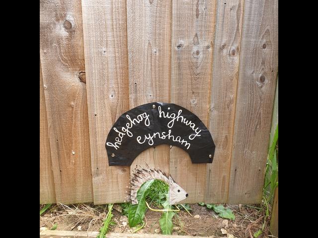 Hedgehog_highway_sign