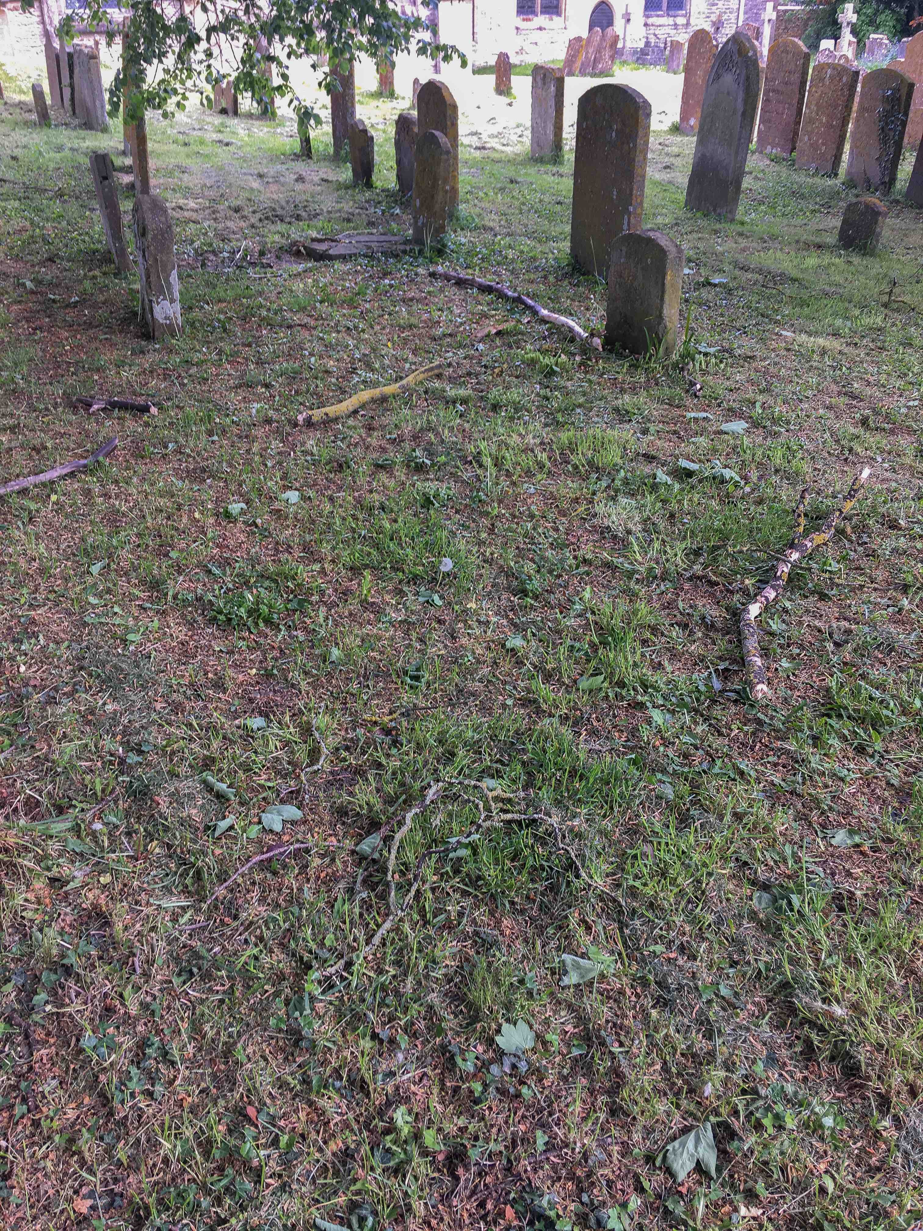 NRN website_Churchyard_mow_7716