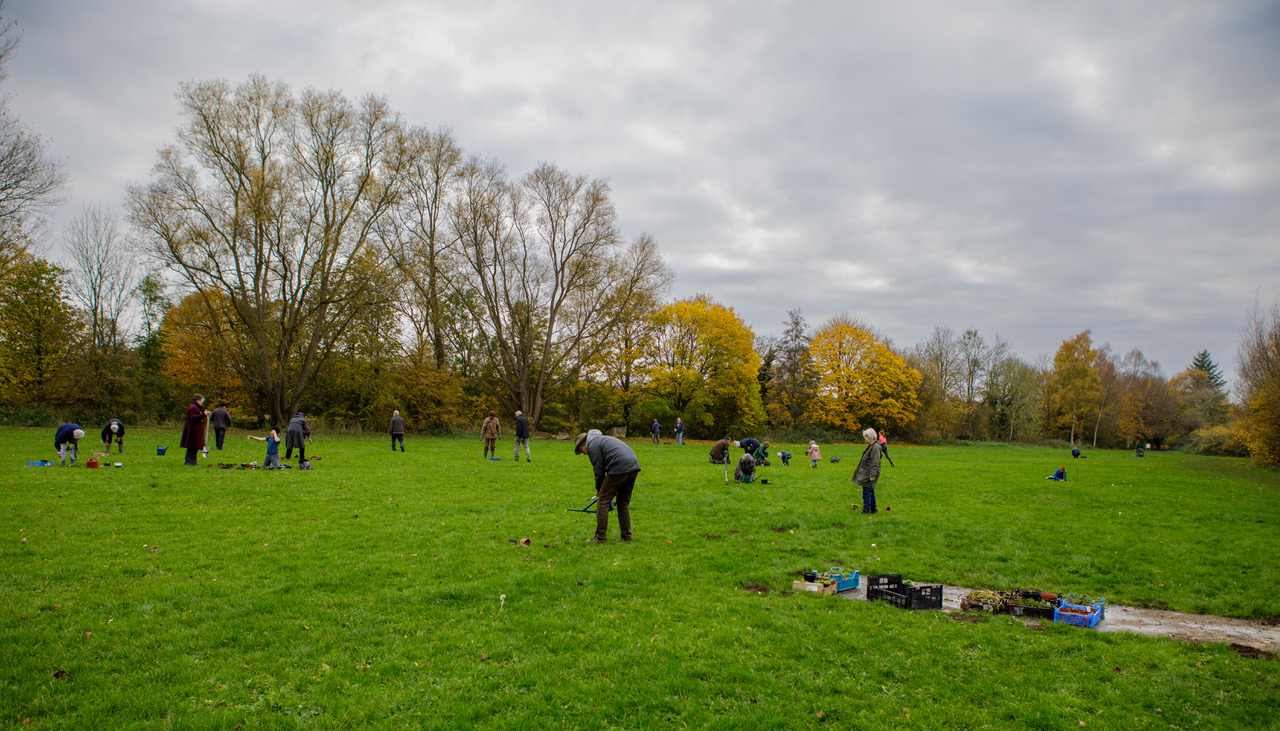 TVWMRP plant propagationsmall-5859