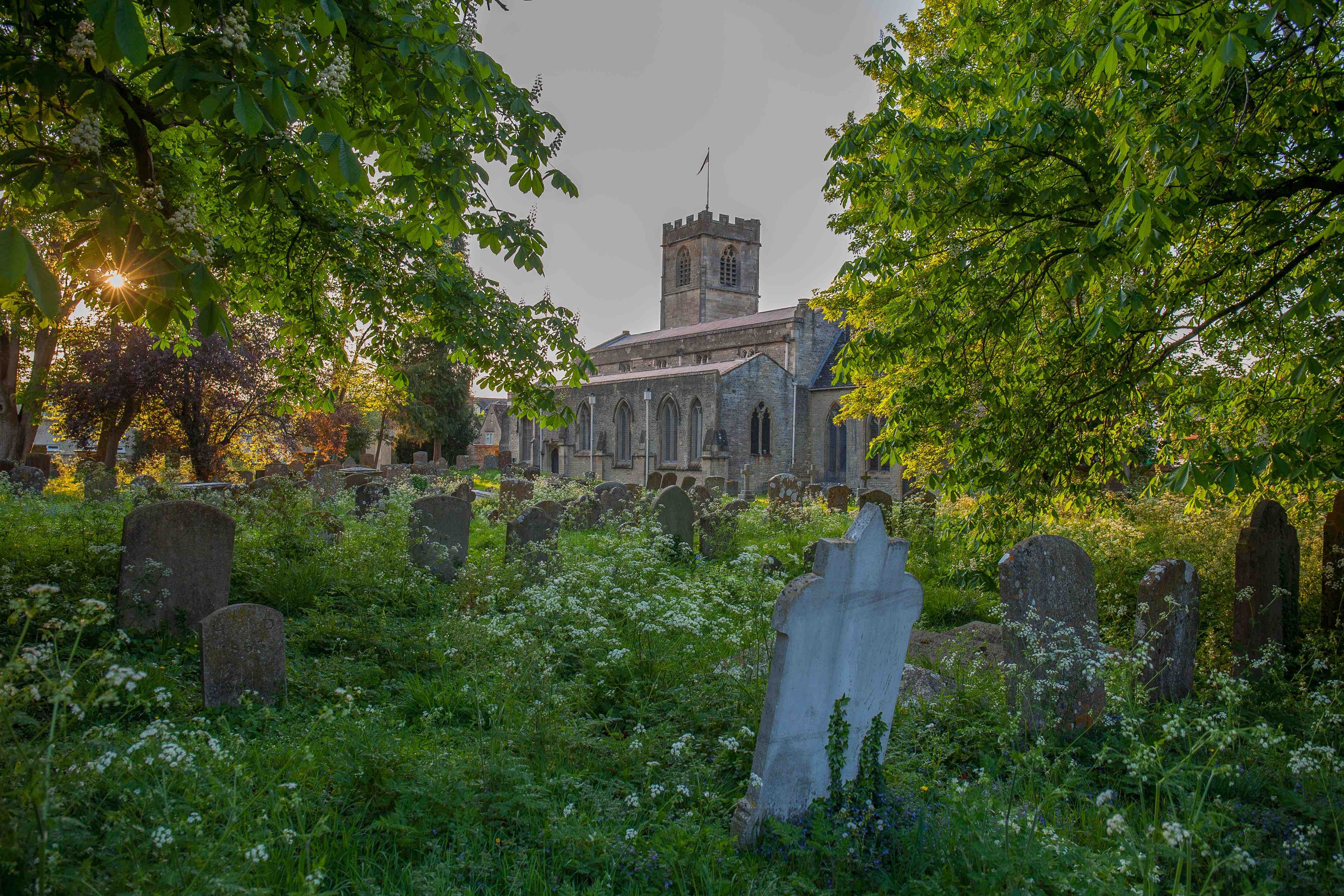 NRN website_Churchyard_sun_0648