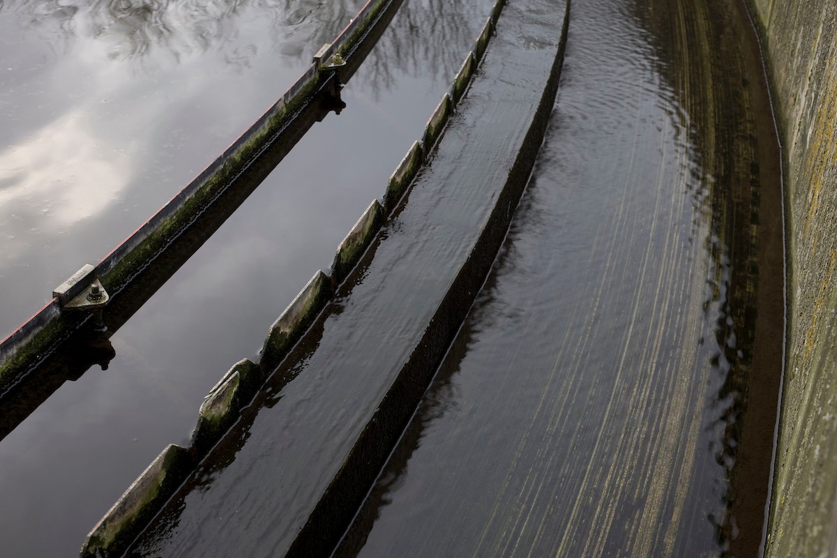 cassington_sewage_works_settled