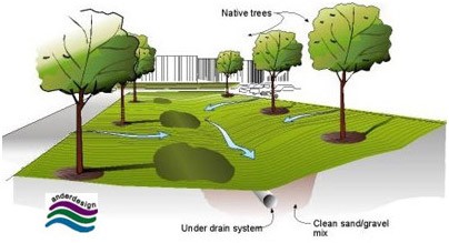 swales-diagram