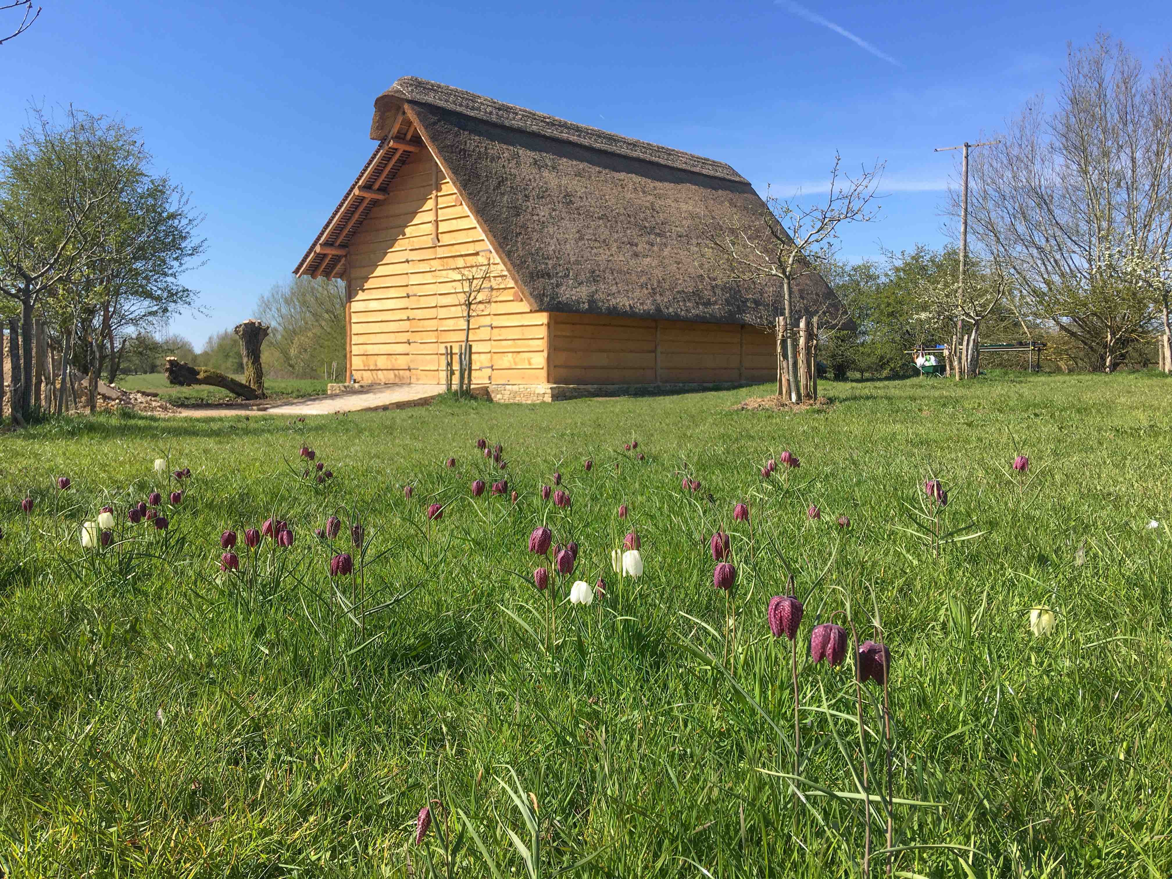 Barn_fritillaries_Long_Mead