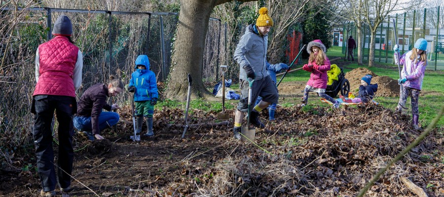 Primary School hedge-planting-6415