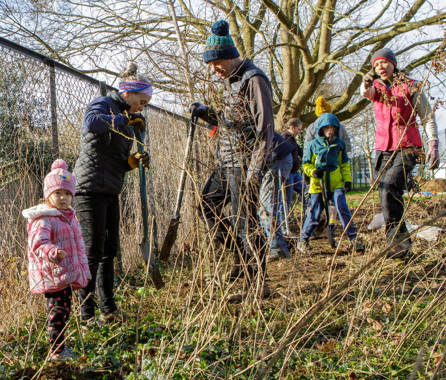 Primary School hedge-planting-6431