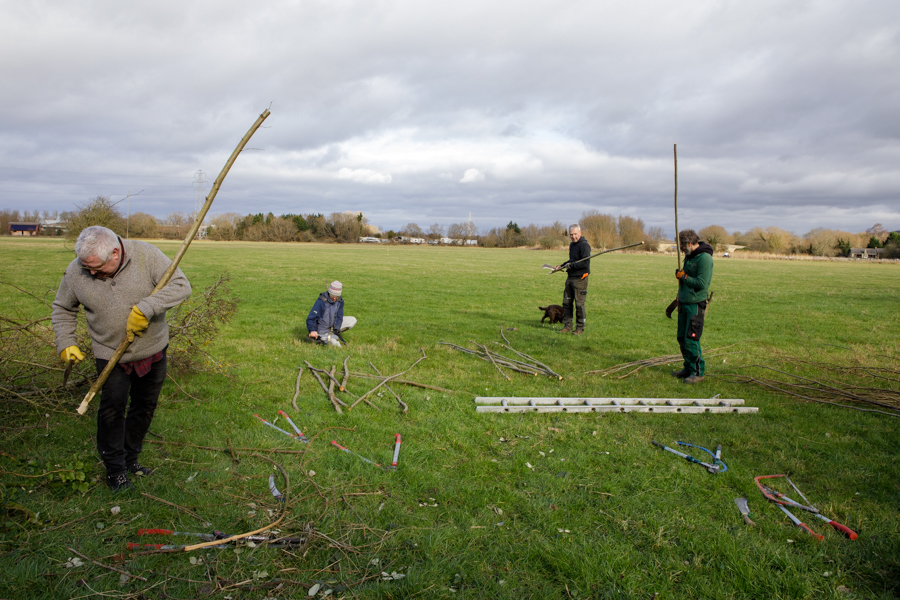 hedge-laying-6321