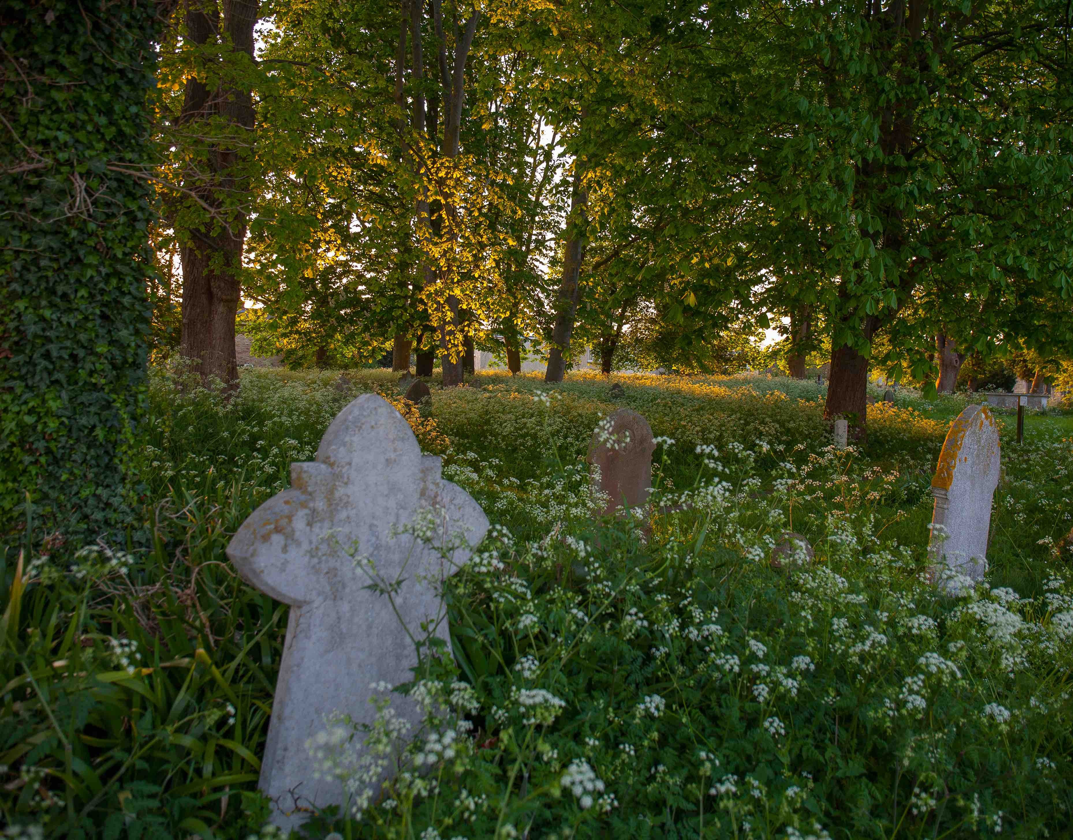 NRN website_gravestones_0665