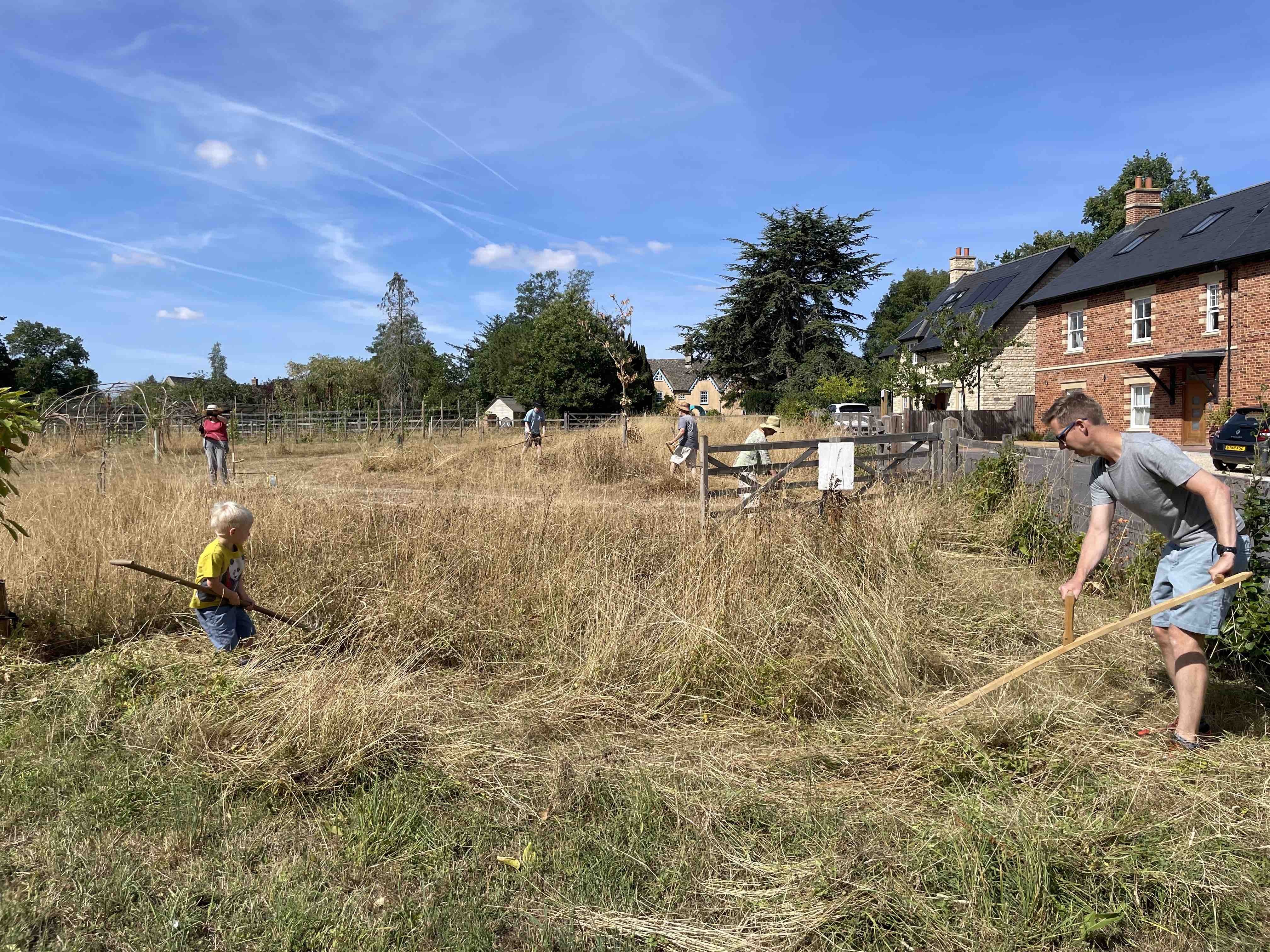 peace_oak_scything