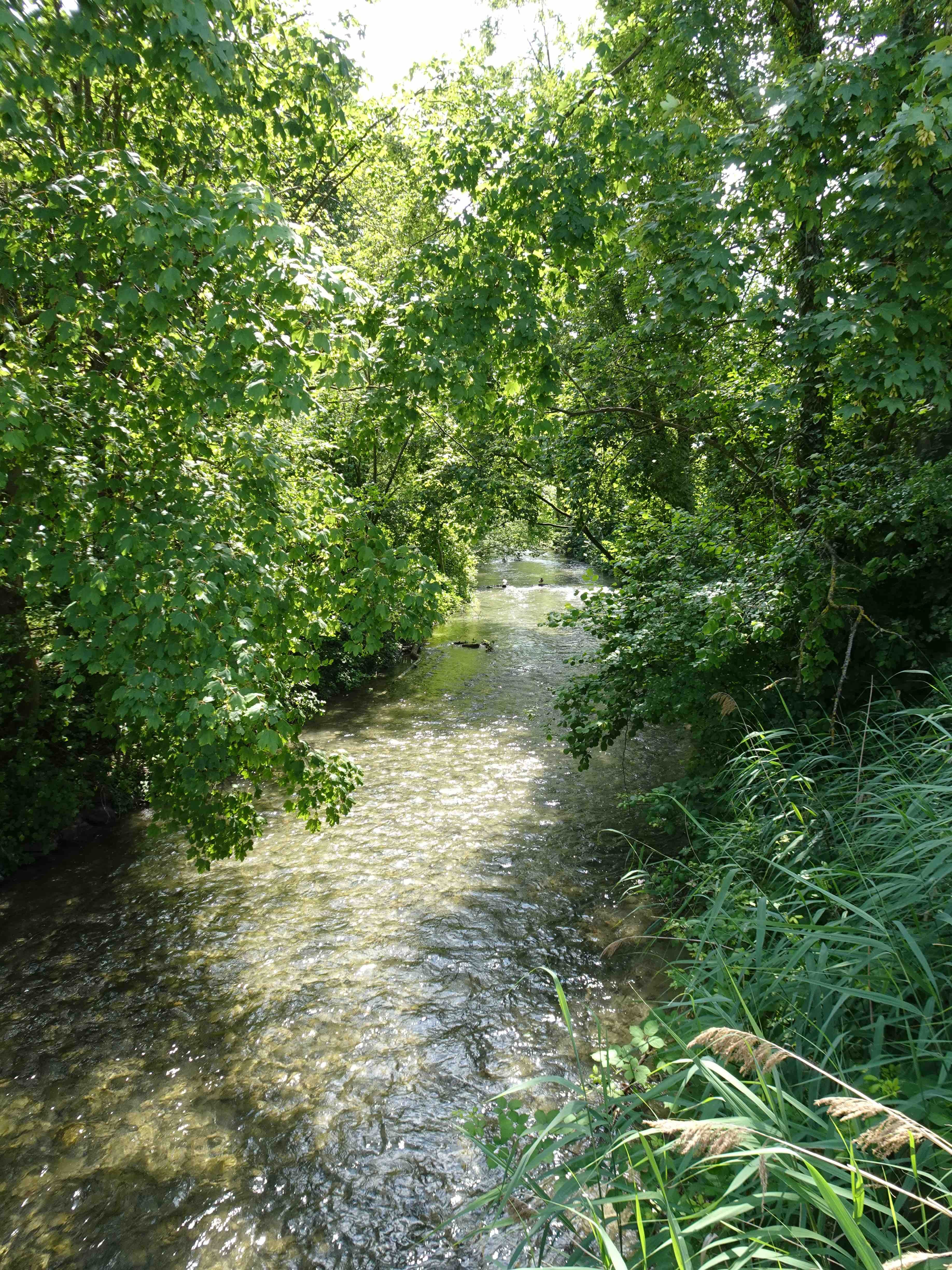 stream