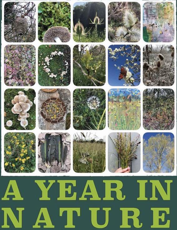 year_in_Nature