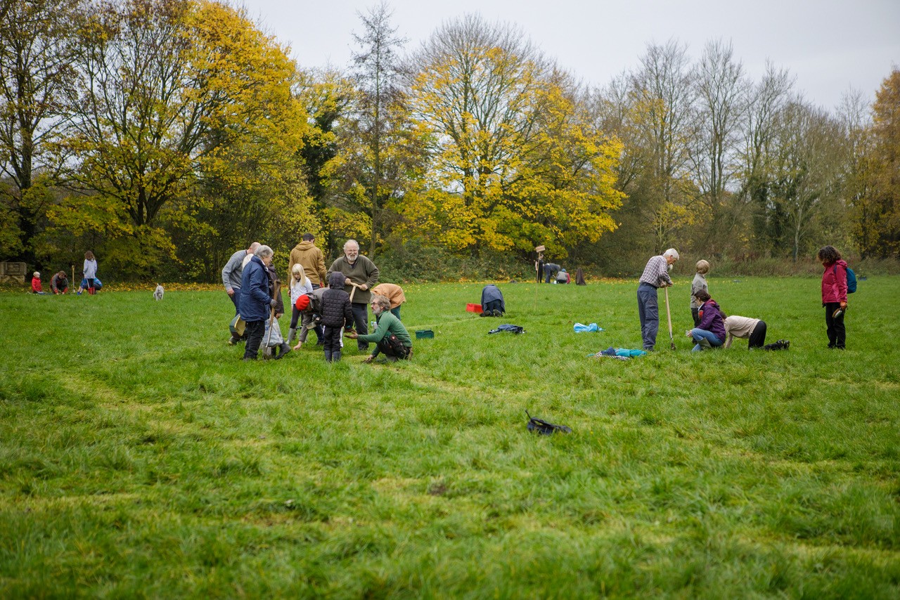 Carnival Meadow Planting-8114