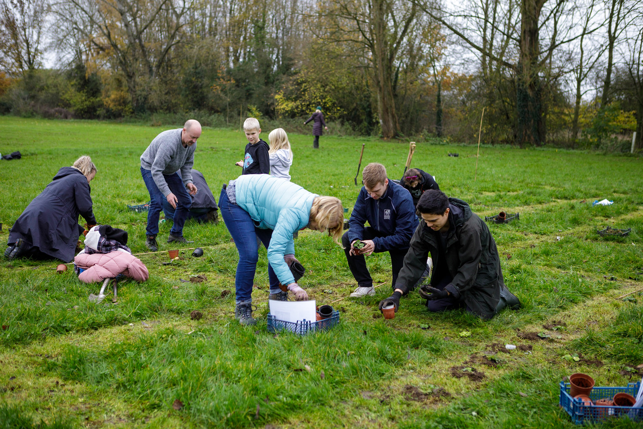 Carnival Meadow Planting-8112