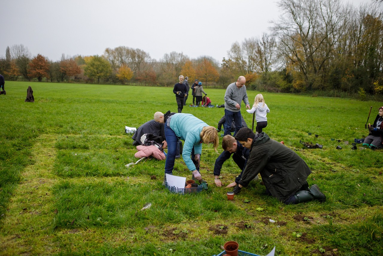 Carnival Meadow Planting-8113