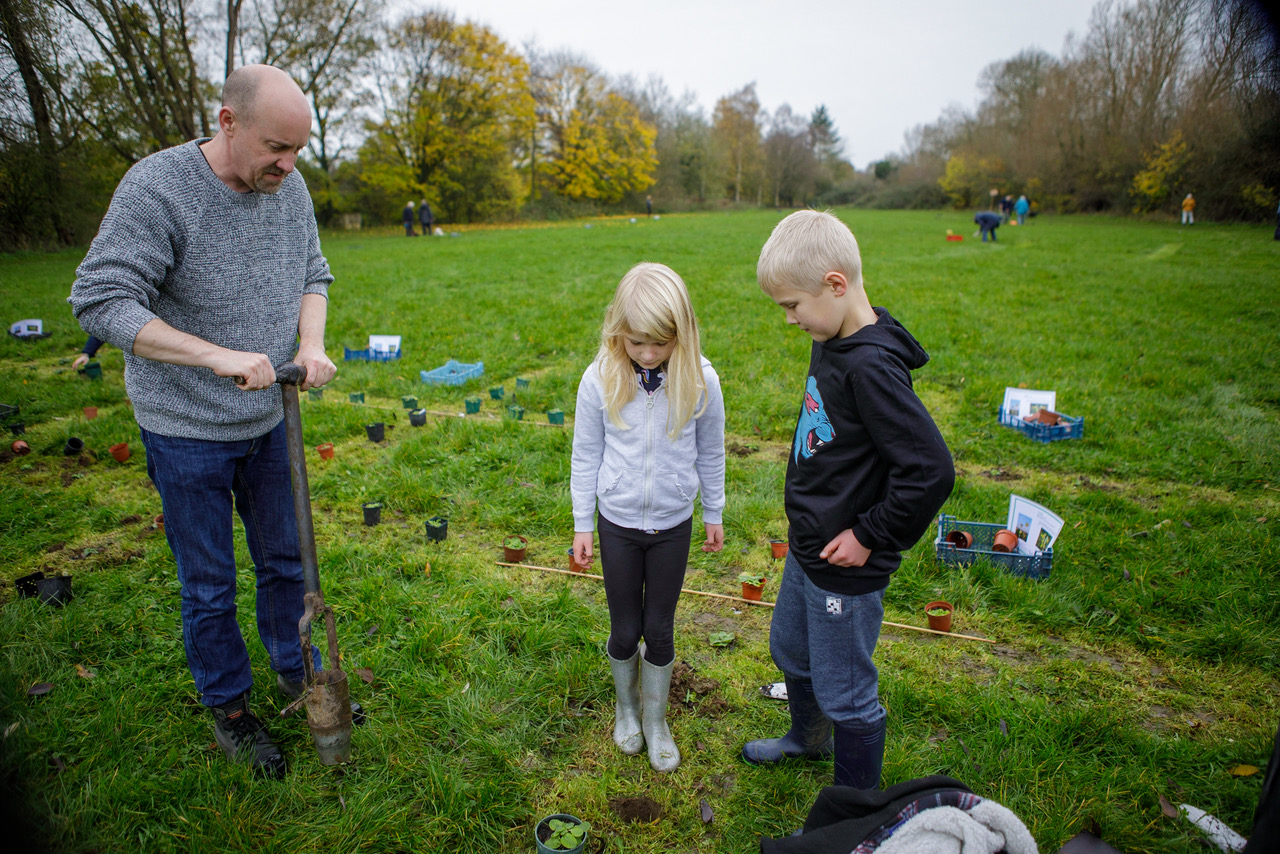 Carnival Meadow Planting-8107