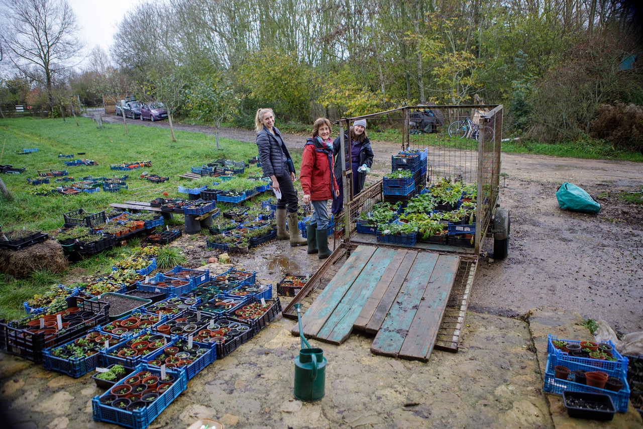 Carnival Meadow Planting-8104