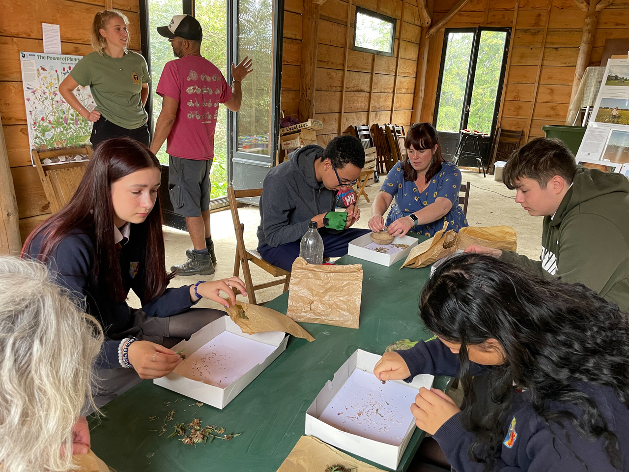 Bartholomew students podding seeds