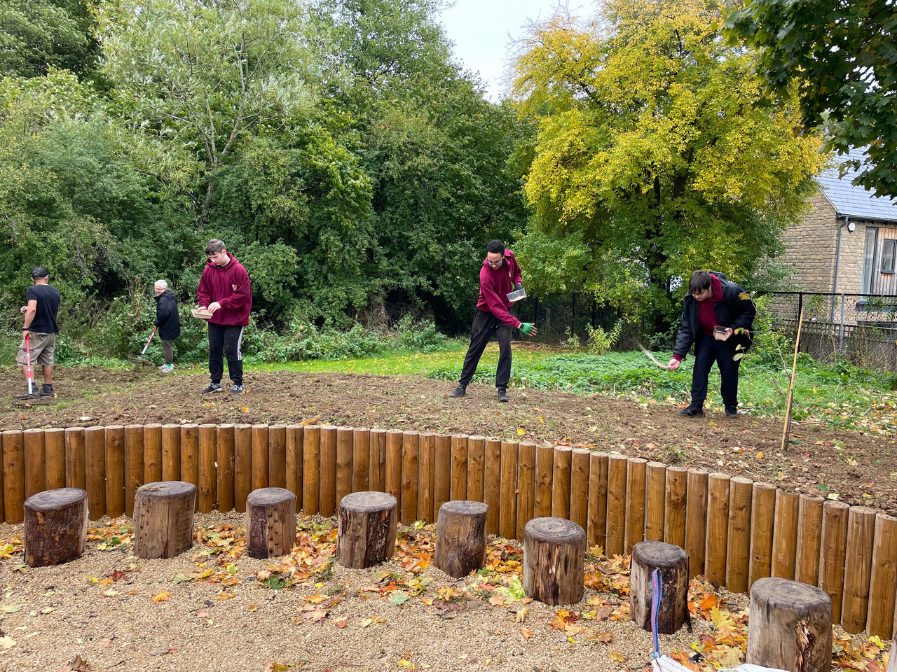 Bartholomew students sprinkling wildflower meadow seed in the Eynsham Primary School meadow