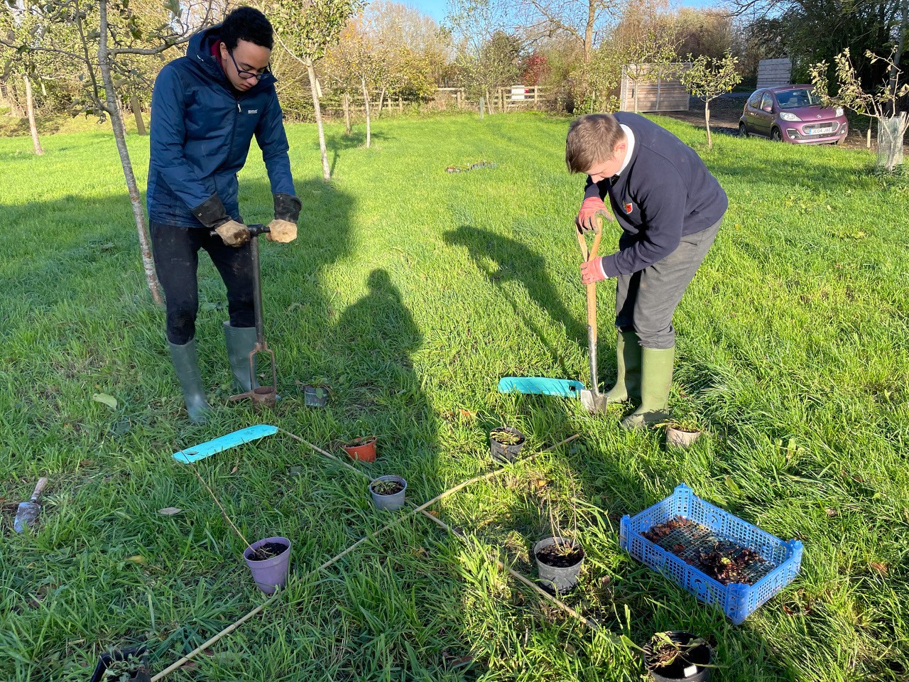 Bartholomew students planting wildflower plants into Long Mead's  orchard