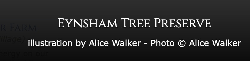 tree_preserve_alice