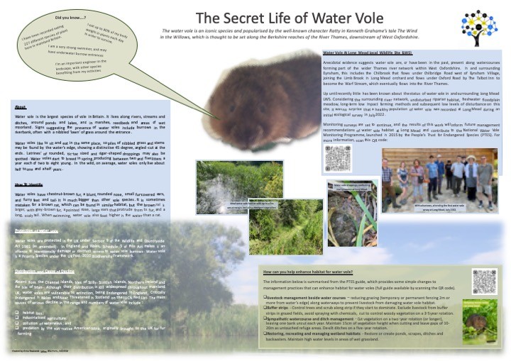 Water Vole poster