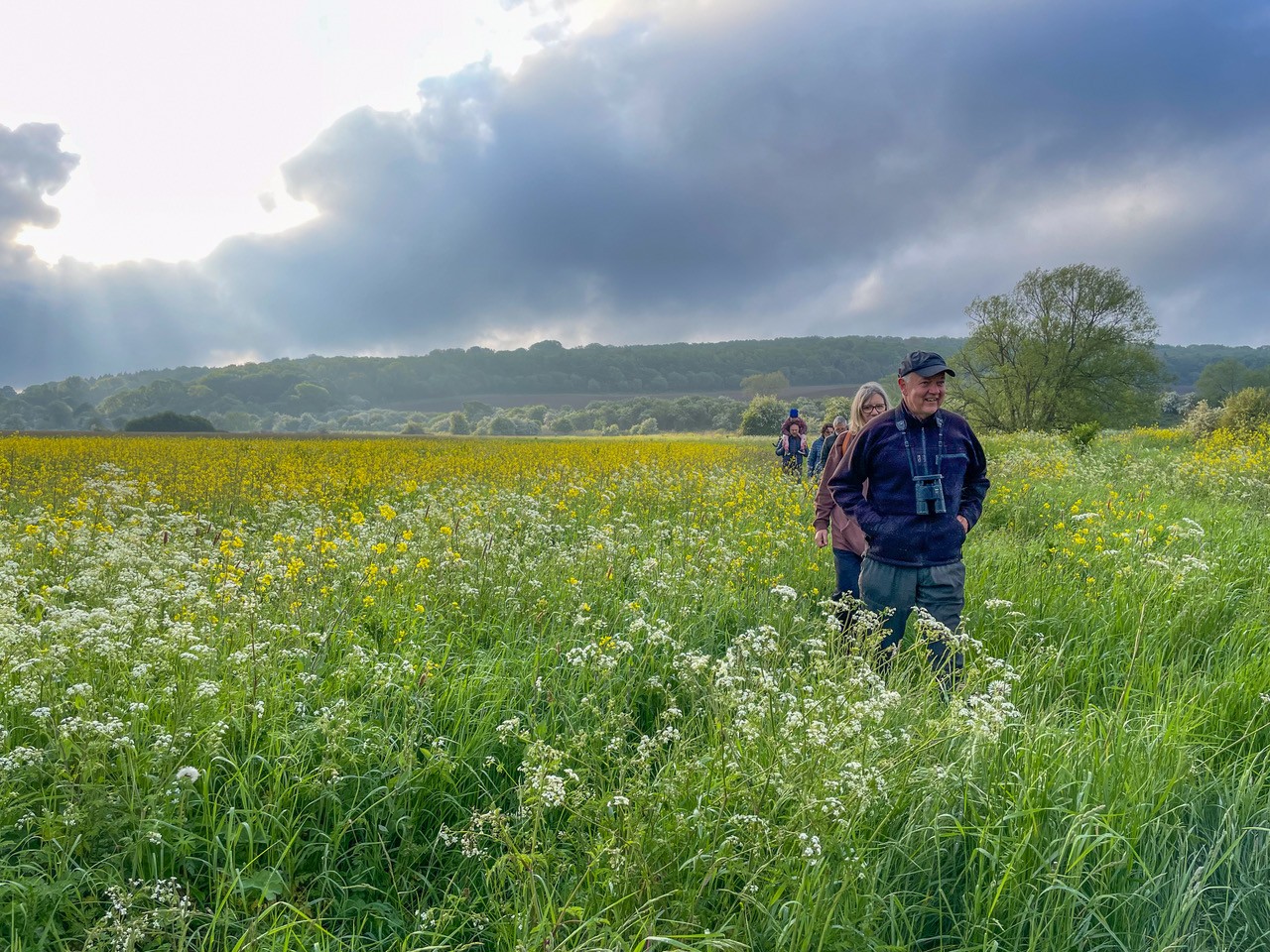 Dawn Chorus-2358