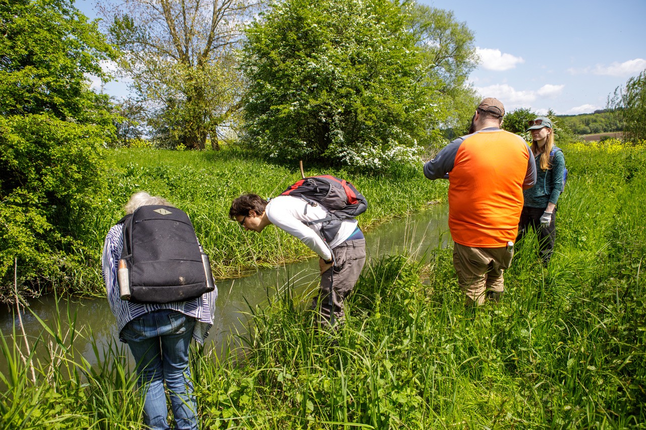 Water Vole Survey-8475