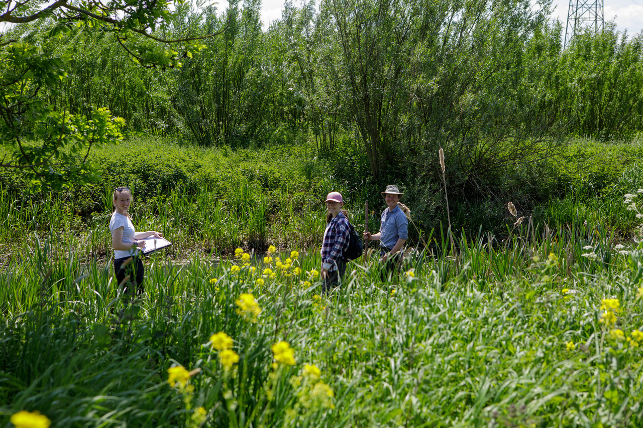 Water Vole Survey-8478